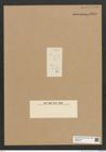 Diatomeae indet. Zeichnungen Sammlung Grunow Nr. 5949 (NHMW-BOT-W0374422)